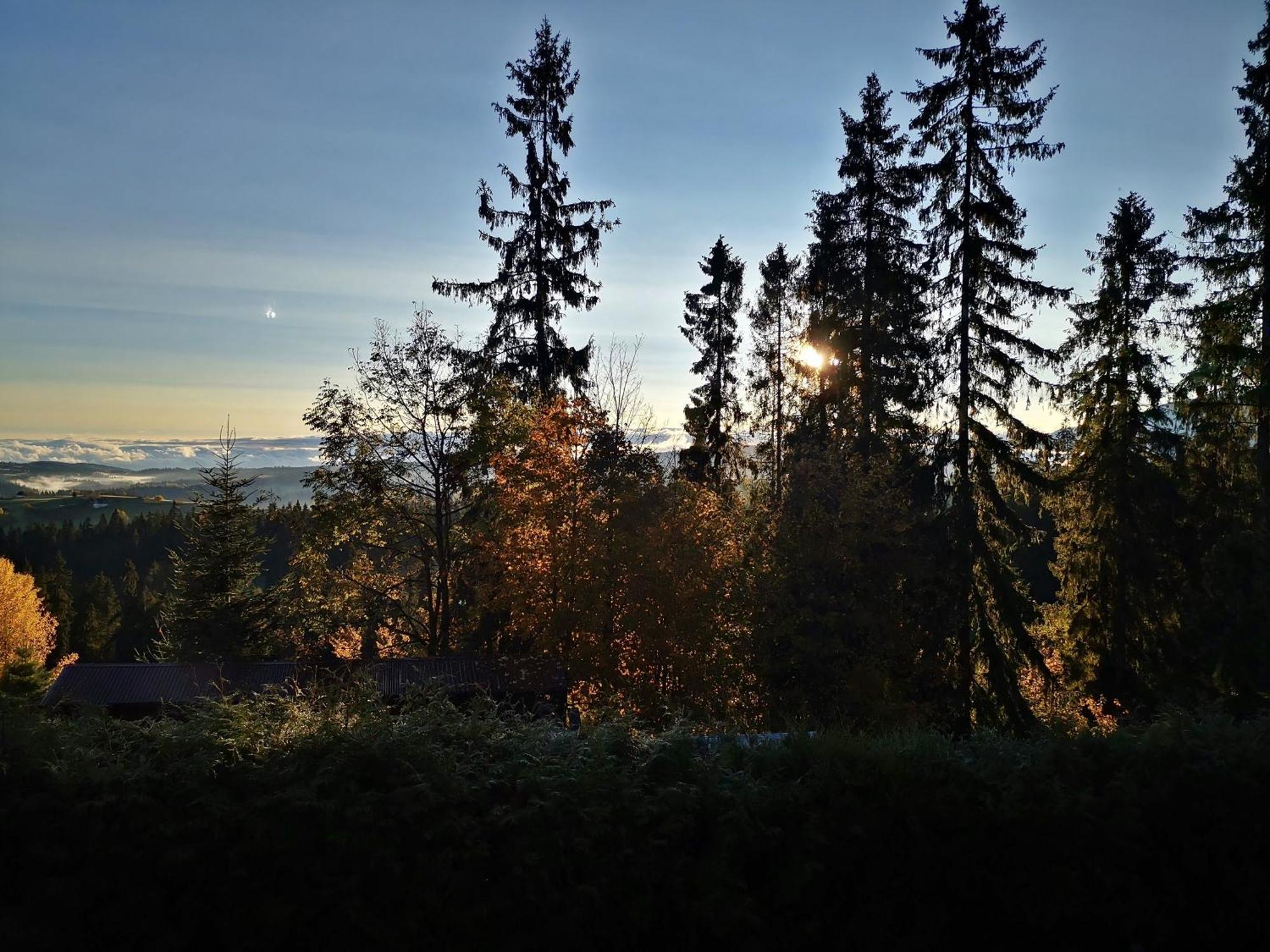 Willabukovinka - Bliskosc Lasu, Wyciagow I Term, Atrakcje Dla Dzieci, Znizki Na Wyciagi, Termy, Karczmy I Atrakcje Bukowina Tatrzańska Exterior foto