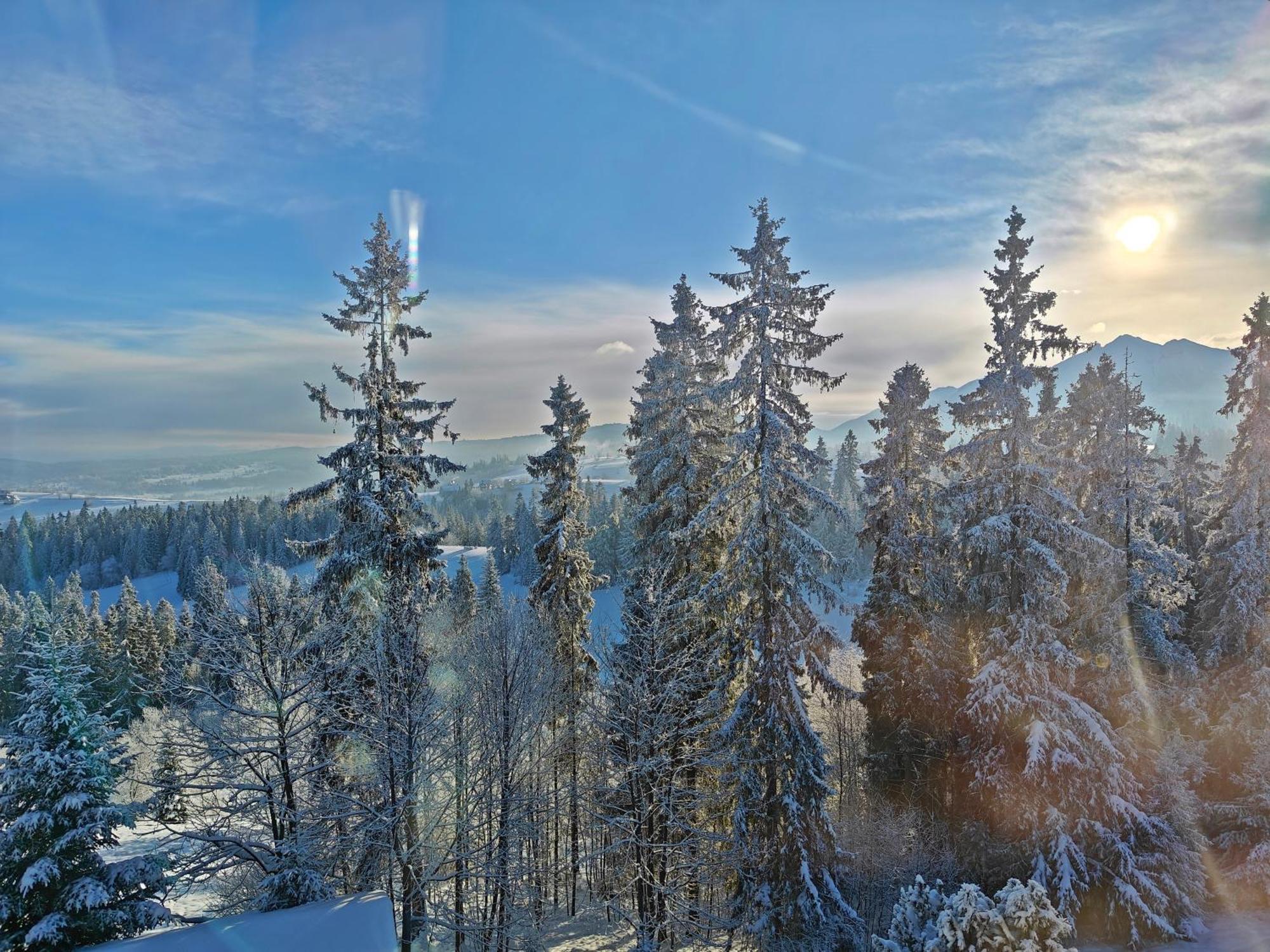 Willabukovinka - Bliskosc Lasu, Wyciagow I Term, Atrakcje Dla Dzieci, Znizki Na Wyciagi, Termy, Karczmy I Atrakcje Bukowina Tatrzańska Exterior foto